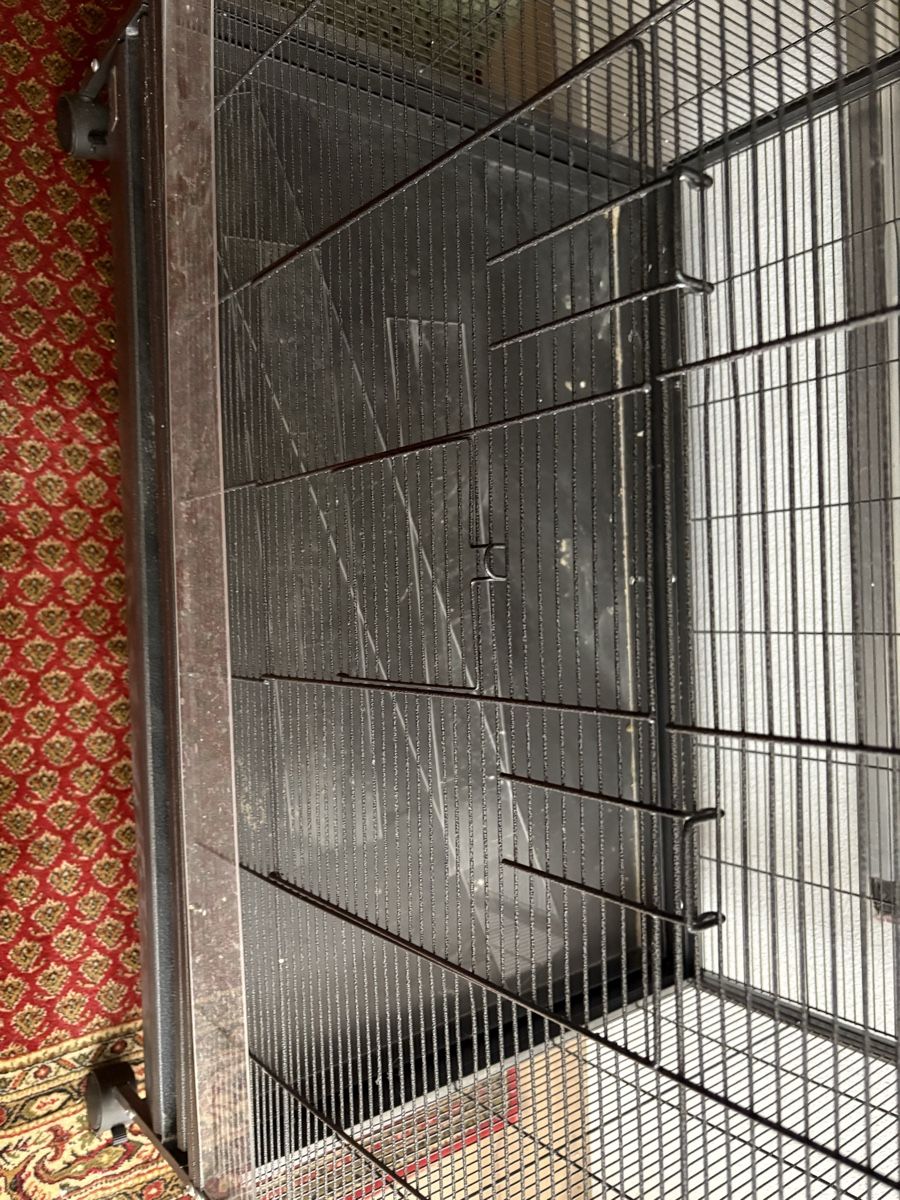 Cages, transport & sécurité: Vogel Voliere Darwin – D'occasion à Bischofszell par Mr.Sheep 1