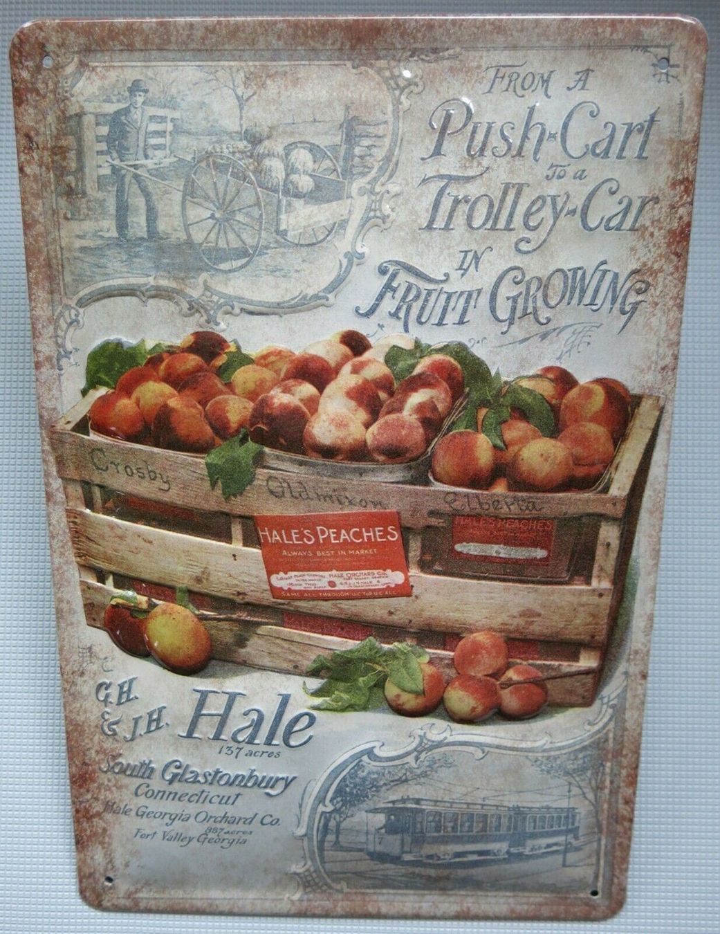 Ecriteaux: Blechschild 3D-PEACHES PFIRSICH FRÜCHTE – Neuf avec emballage d'origine à Rupperswil par big-one-sale