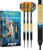 Darts Set
