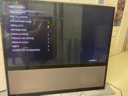 Beovision 11-46, Steifen links im Display