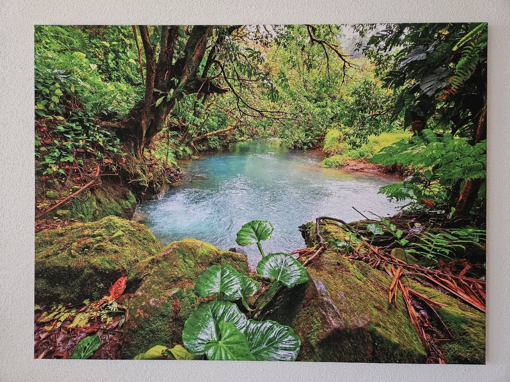 Foto & Immagini: Fotoleinwand Costa Rica – Nuovo (secondo la descrizione) da Dübendorf venduto da kibby90 1