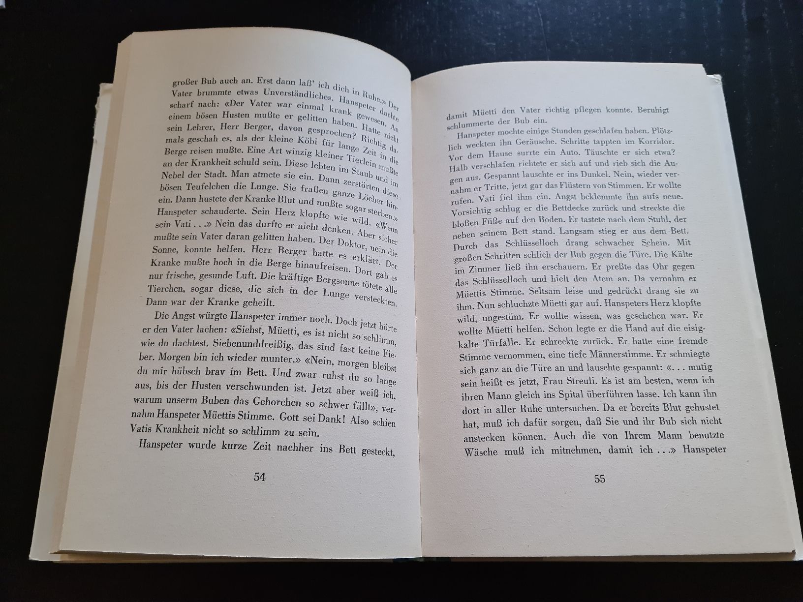 Libri: Hanspeter – Usato da Erstfeld venduto da Mario_boe0 2