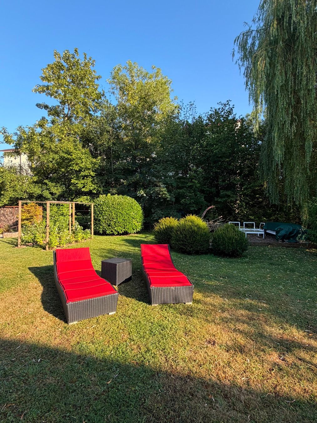 Liegen & Liegestühle: Gemütliche Rattanlounge – Gebraucht aus Neftenbach von re.mo.els 2