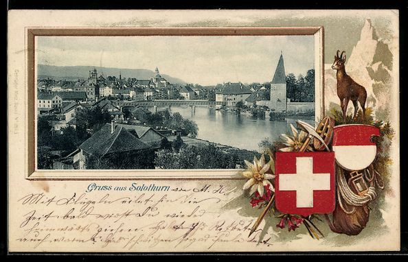 Ansichtskarten: Solothurn, Teilansicht der Stadt, Gemse  – Gebraucht aus Berlin von bartko-reher