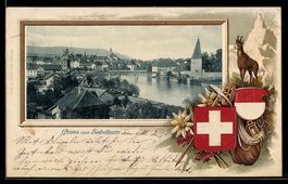 Solothurn, Teilansicht der Stadt, Gemse 
