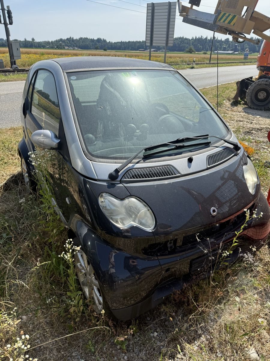 Smart Automobili: 11 Smart Autos – Usato da Niederbipp venduto da baggerch 7