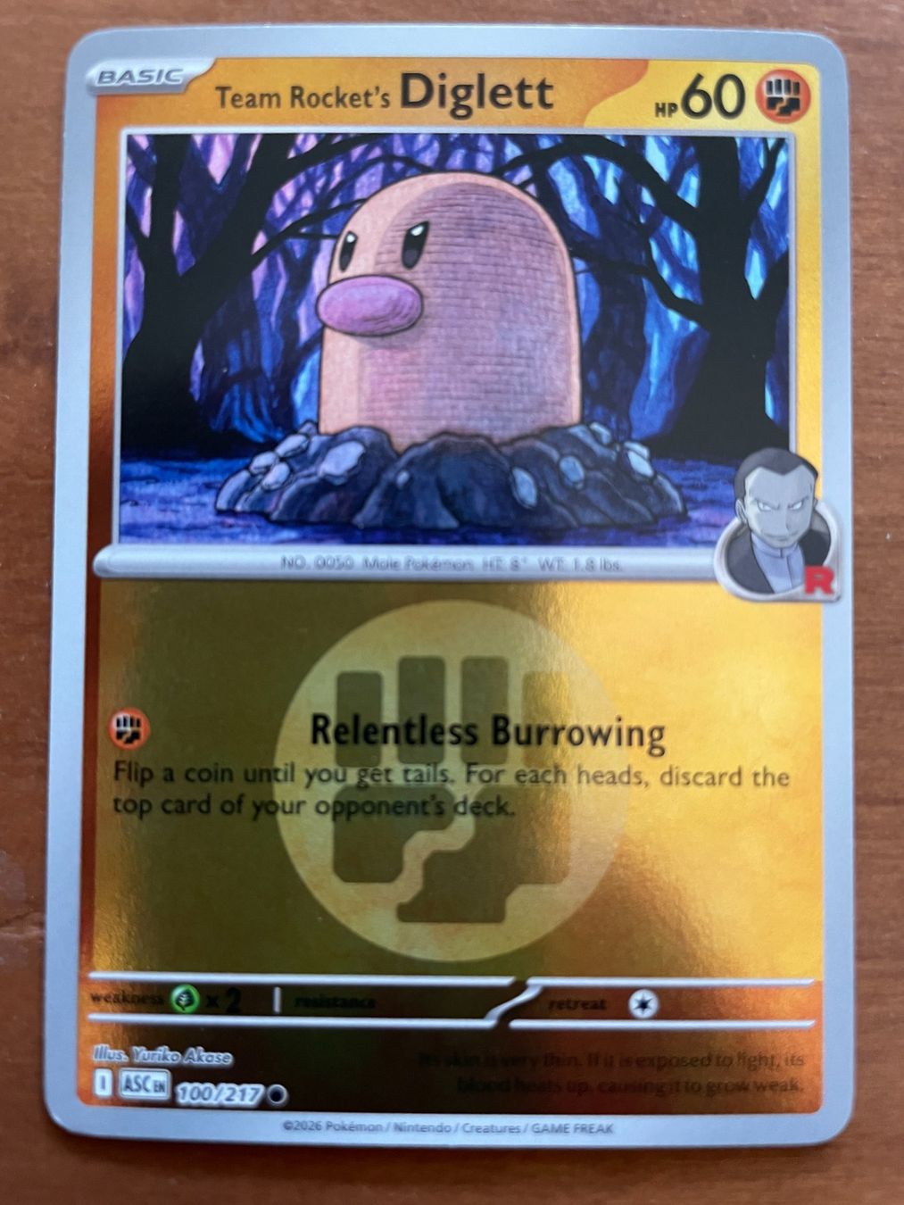 Pokémon Carte collezionabili: Pokemon Team Rocket's Diglett Reverse (Versand gratis) – Nuovo (secondo la descrizione) da Chur venduto da Angerson