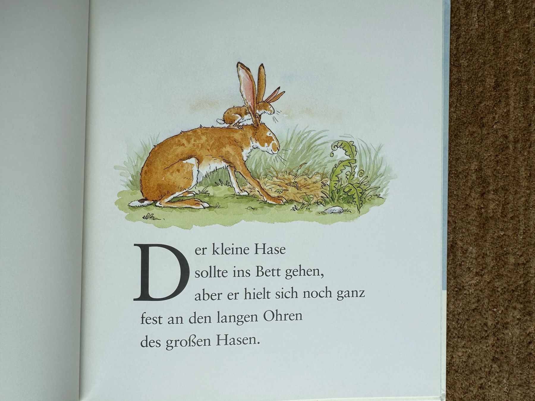 Bücher: Weisst du eigentlich wie lieb ich dich hab? – Neu (gemäss Beschreibung) aus Aarau von Kilauea 6