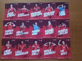 handsignierte SFV Autogrammkartensatz 1 ⚽🇨🇭