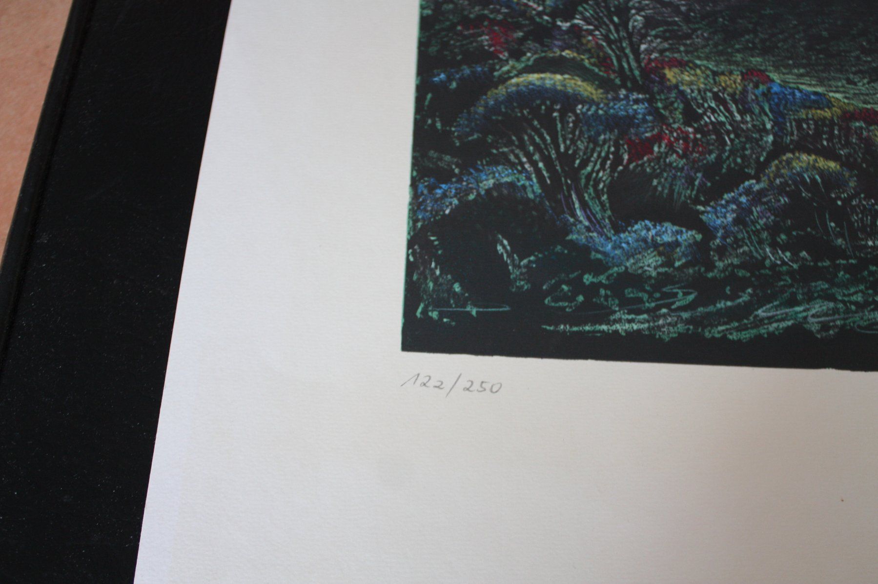 Grafica & Litografie: Farbe litografia von Ernst Fuchs – Usato da Altstätten SG venduto da sulim 2