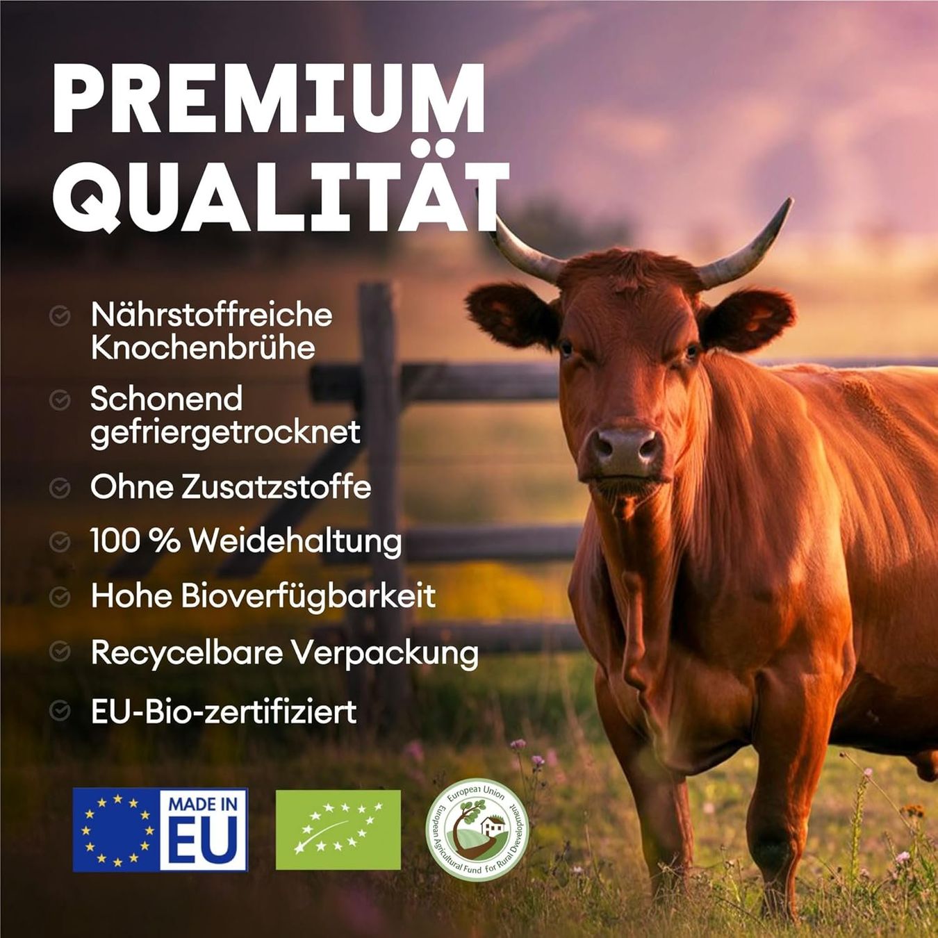 Cibi & Specialità: Nutriest Bio Knochenbrühe Pulver Weiderind 250g – Nuovo e nell'imballaggio originale da Suhr venduto da SchnapperCH 2