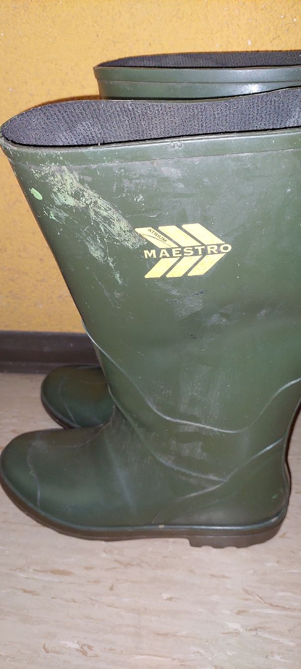 Chaussures hommes: Stiefel 44 – D'occasion à Vorderthal par Alpengaudi