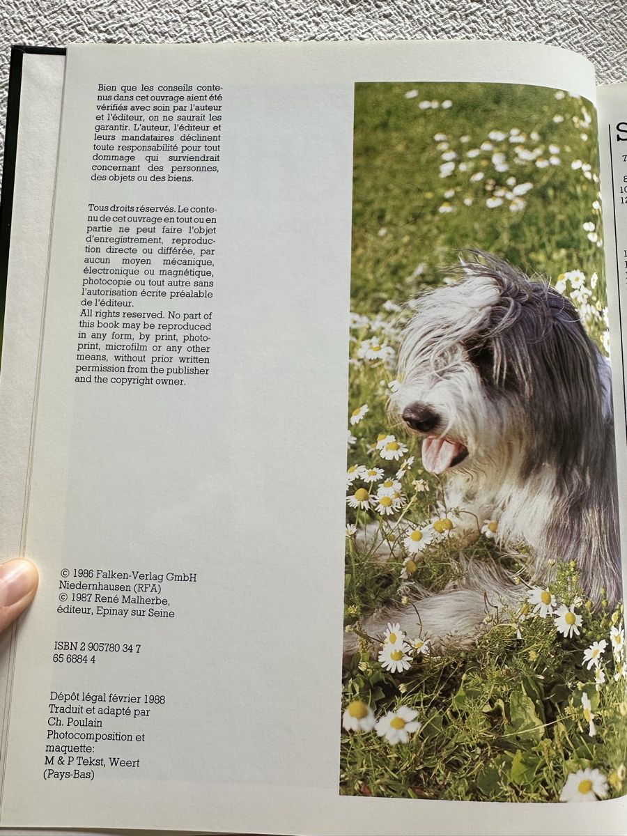 Libri: Le chien – Usato da Les Bioux venduto da ann_g9bh 4