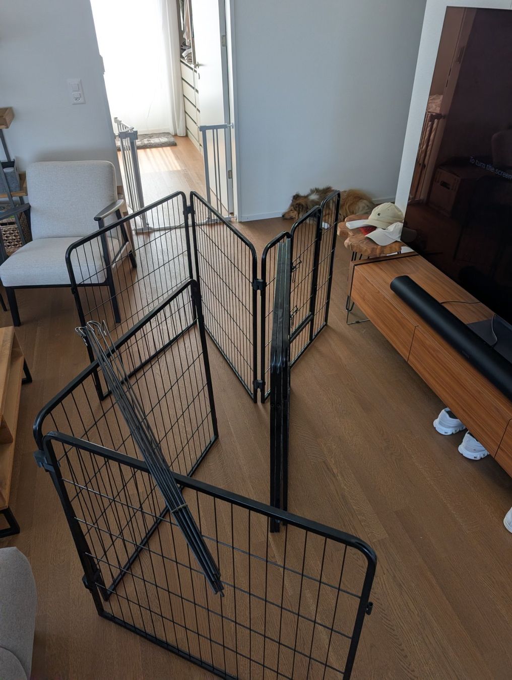 Cages, transport & sécurité: Hunde-Laufgitter schwarz 8 Elemente mit Türe – D'occasion à Uitikon Waldegg par tob_7bhx 3