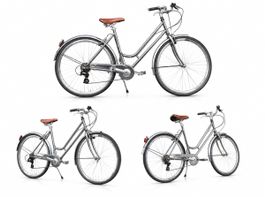 Citybike Damen Fahrrad silber