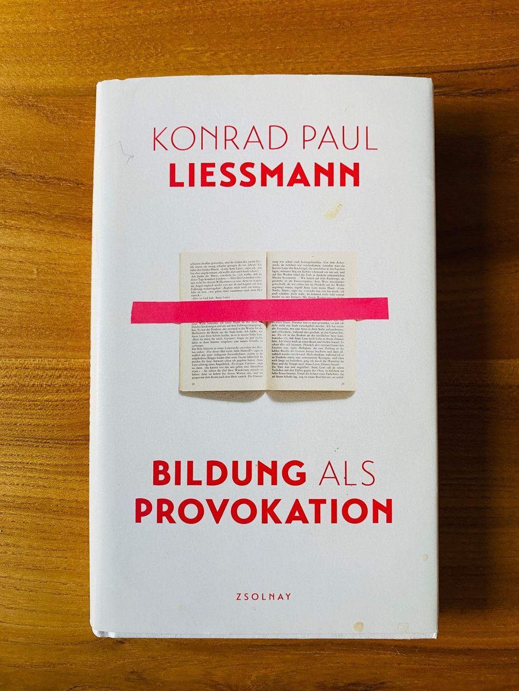 Libri: Buch Bildung als Provokation – Usato da Kastanienbaum venduto da Niara2
