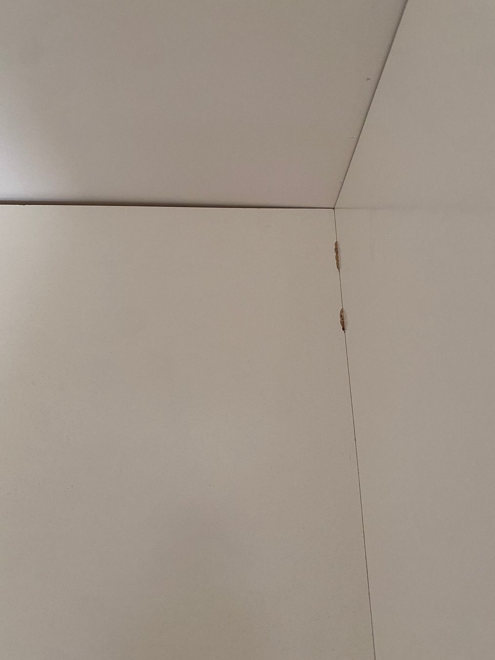 Ikea Armoires: Kleiderschrank IKEA Hemnes – D'occasion à Ottenbach par resbug 4