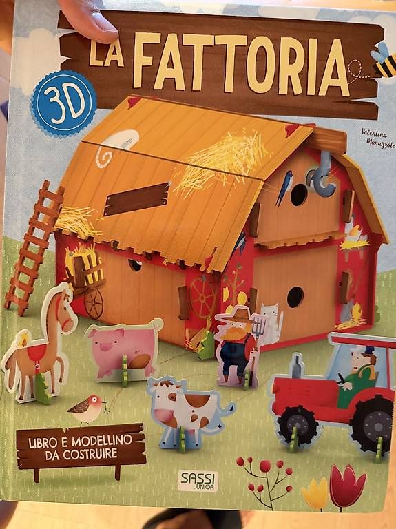 Bücher:  Regalo giochi e libri per bambini – Gebraucht aus Losone von McGrady