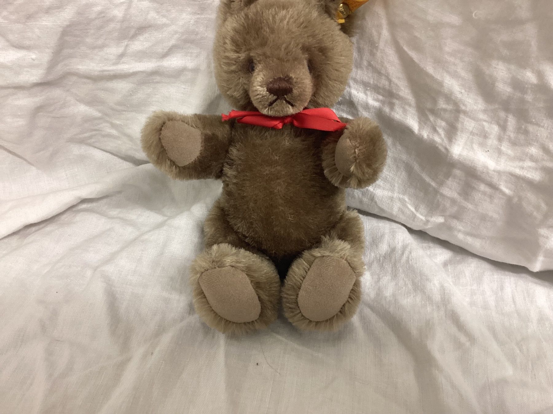 Steiff Jouets: STEIFF TEDDY MIT KNOPF UND FAHNE – D'occasion à Münchenstein par NoSu98 2