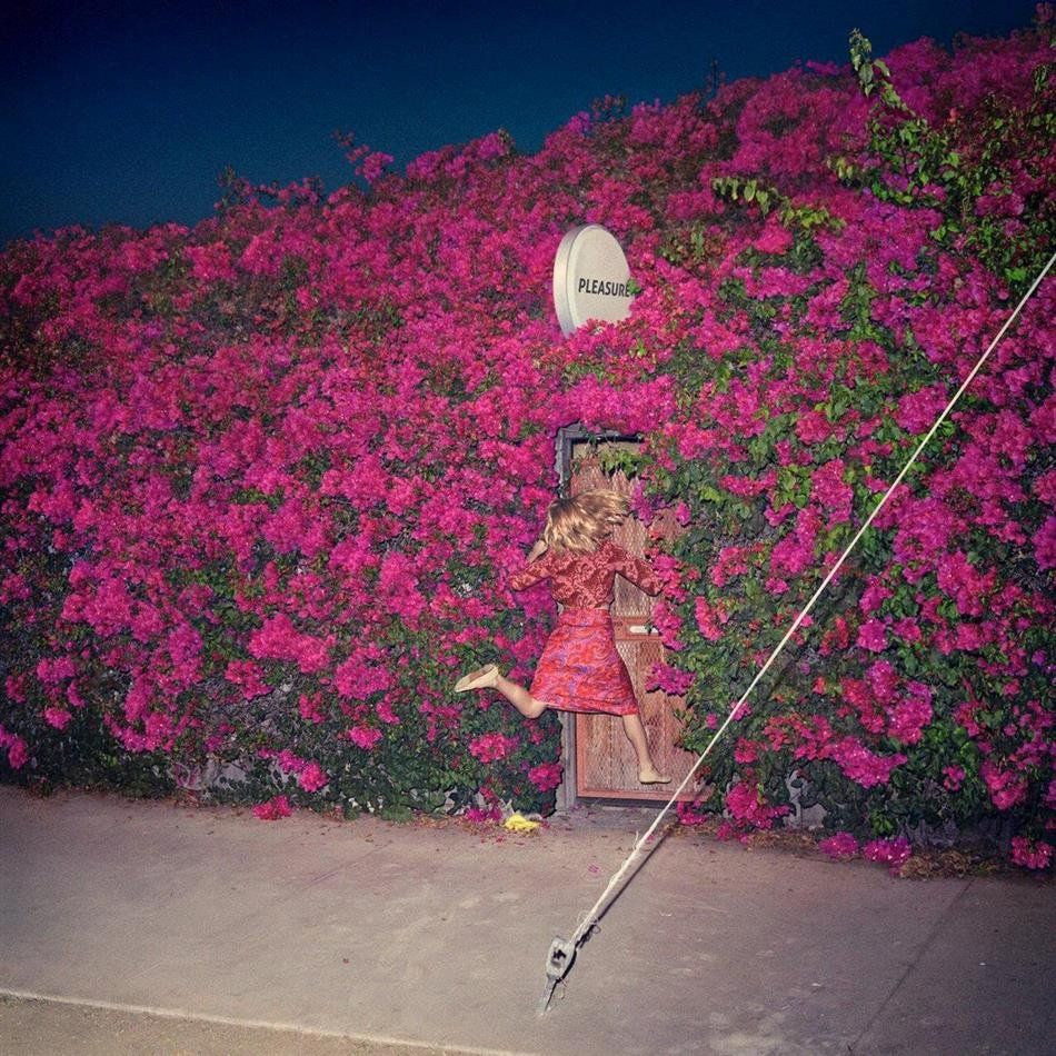 CD: Feist - Pleasure (Digipack) – Nuovo (secondo la descrizione) da Uzwil venduto da visions77