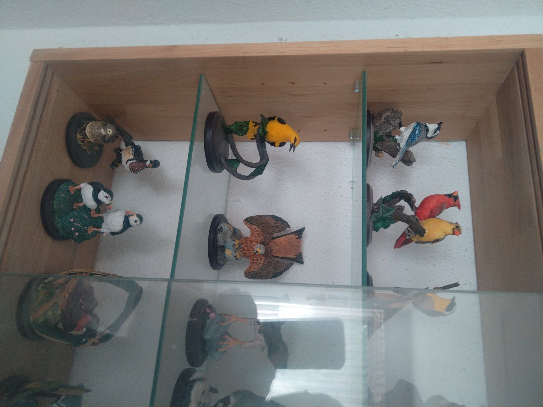 Tutte le decorazioni: A vendre collection de 80 oiseaux – Usato da Tramelan venduto da and_j8tk 5