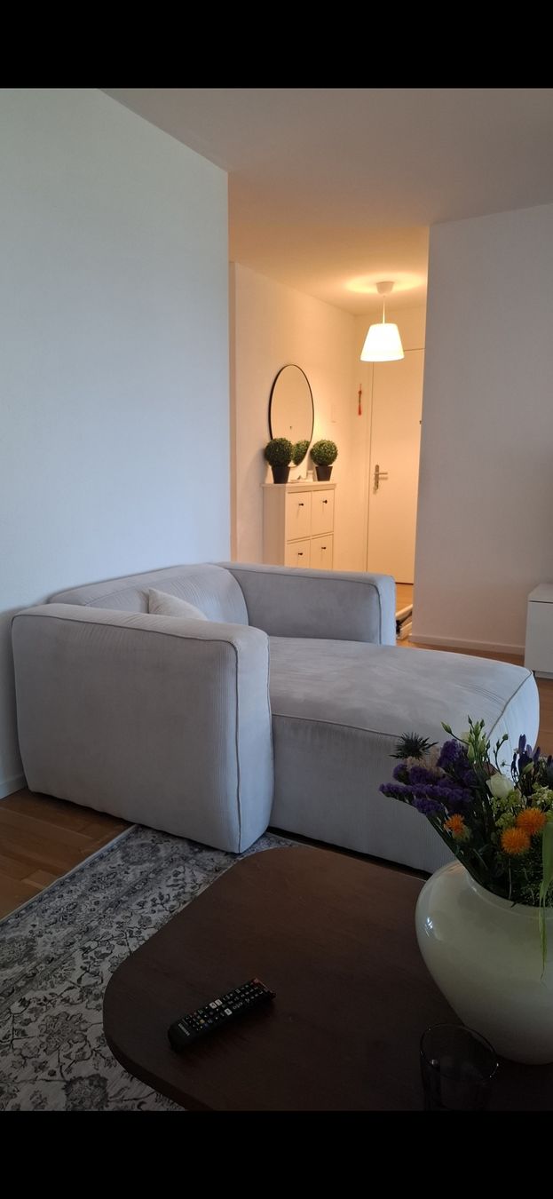 Micasa Sofas: Micasa Ecksofa hellgrau Stoff guter Zustand  – D'occasion à Oftringen par sla_9jnf