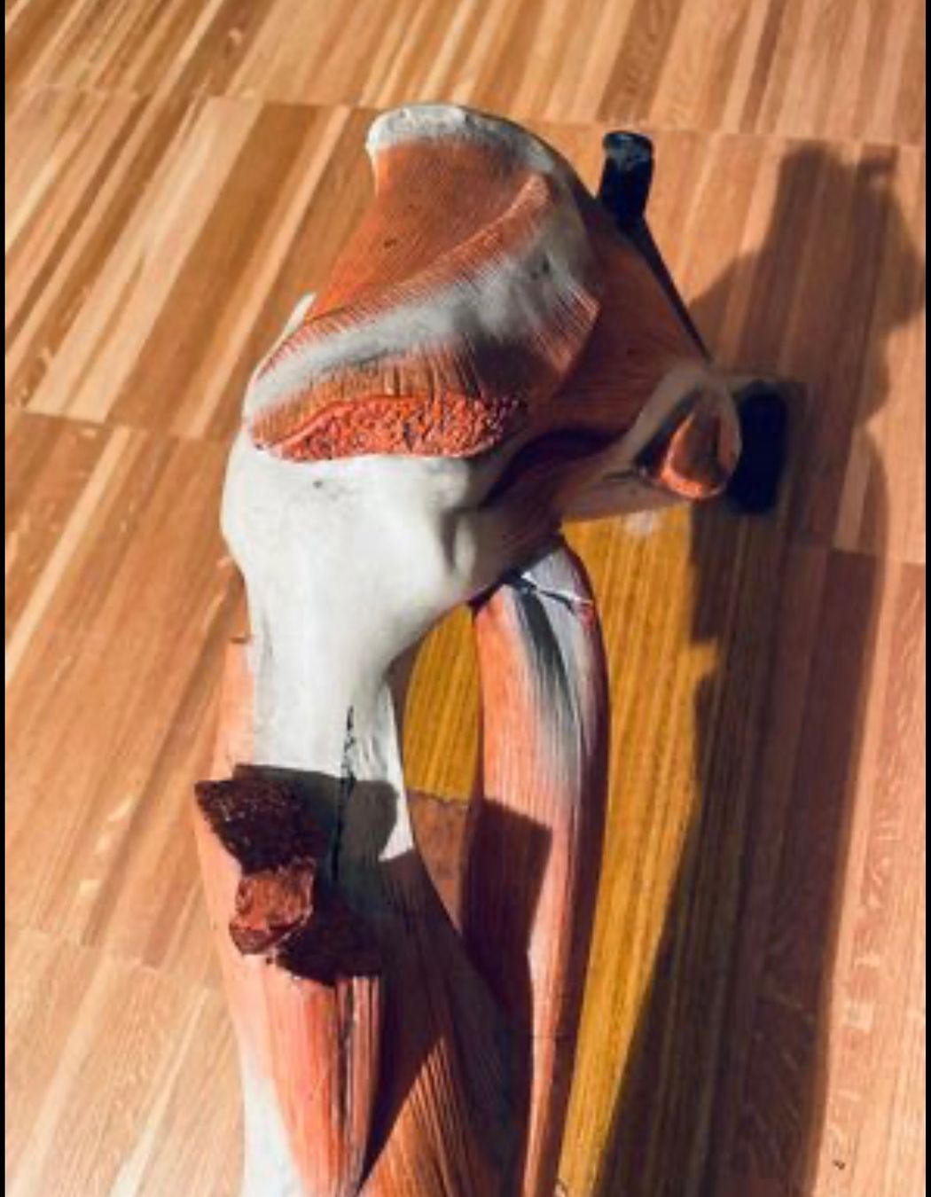 Kit di modellismo & Modellini statici: Anatomisches Modell – Usato da Schaffhausen venduto da nor_jfc5 3