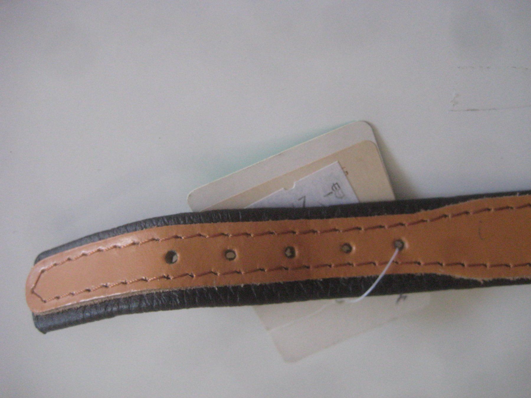 Leine & Halsband: HUNDE  HALSBAND   DACKEL – Neu (gemäss Beschreibung) aus Uster von flocke1 3