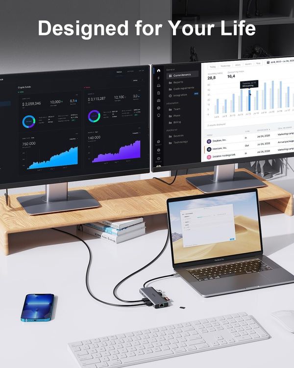 USB C DOCKING STATION visual data 2
