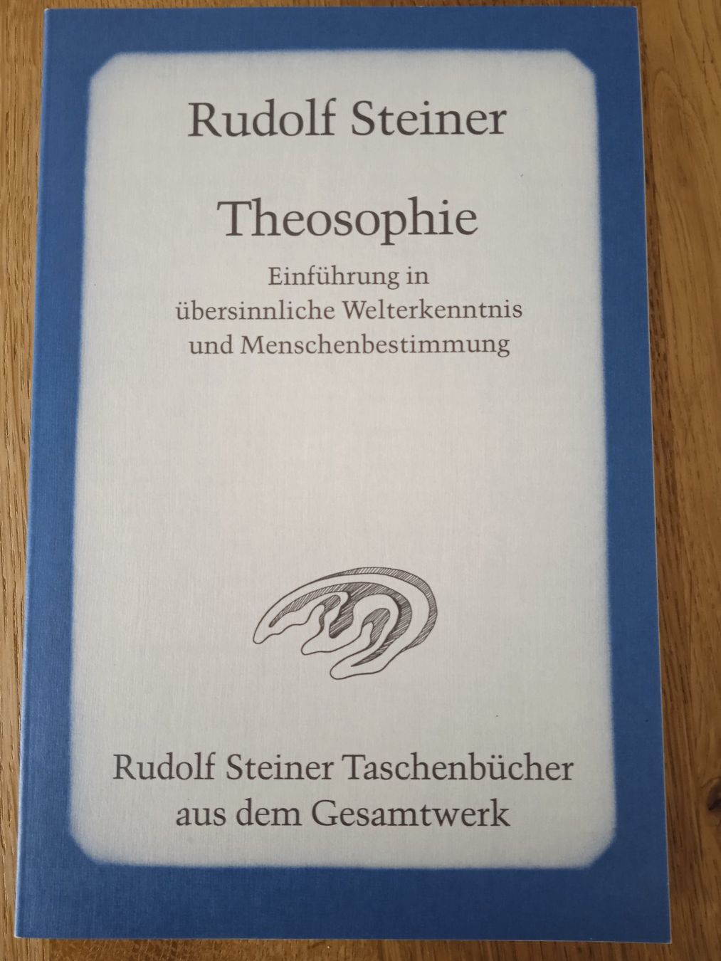 Livres: Rudolf Steiner Theosophie – D'occasion à Rothrist par MaSa82
