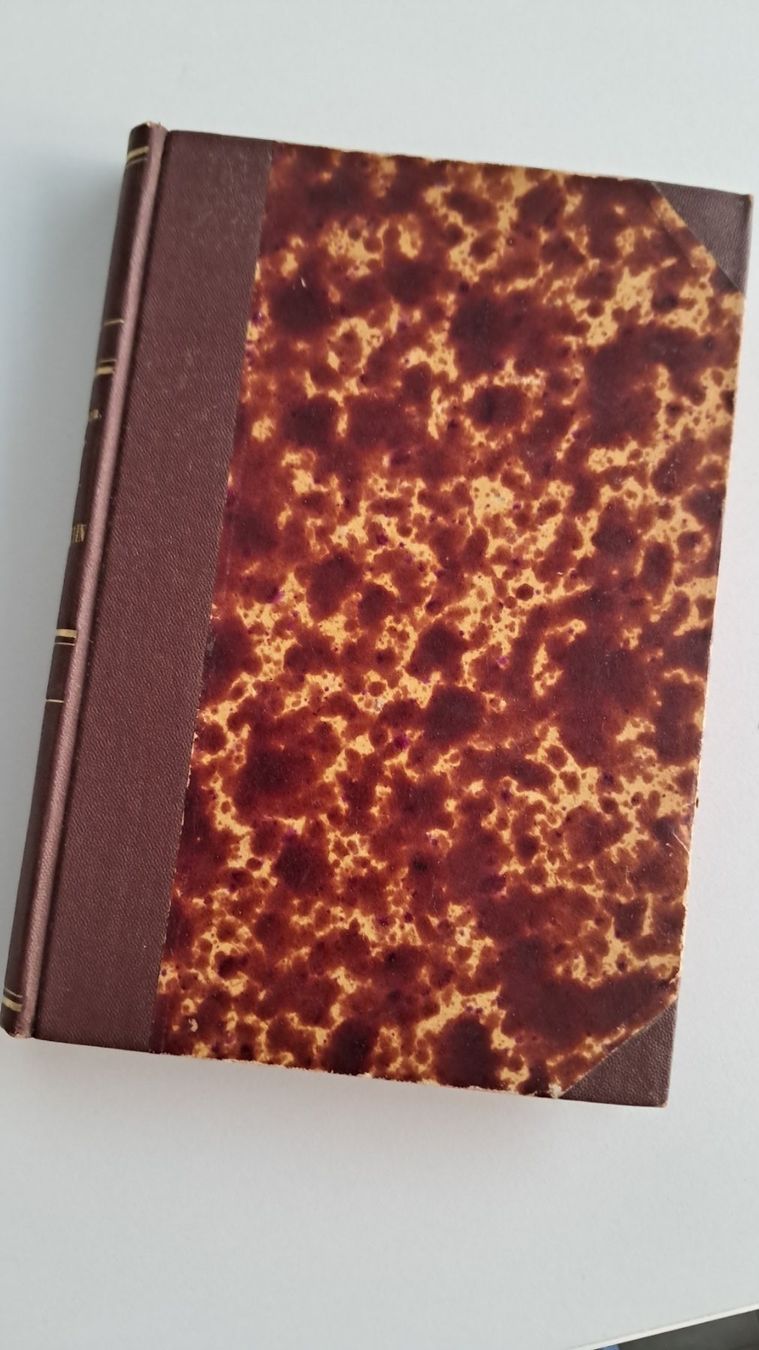Libri: Antikes "Handbüchlein der Harmonielehre" 1880, B.Widmann – Usato da Uster venduto da Paeti7