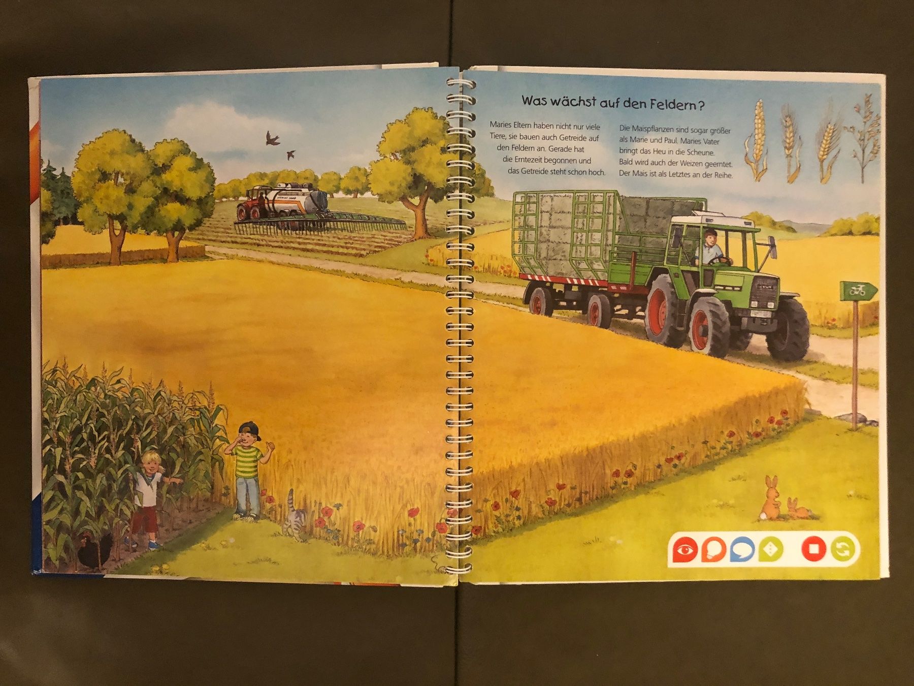 Bücher: Buch Tiptoi Entdecke den Bauernhof – Gebraucht aus Nunningen von anclaudia 3