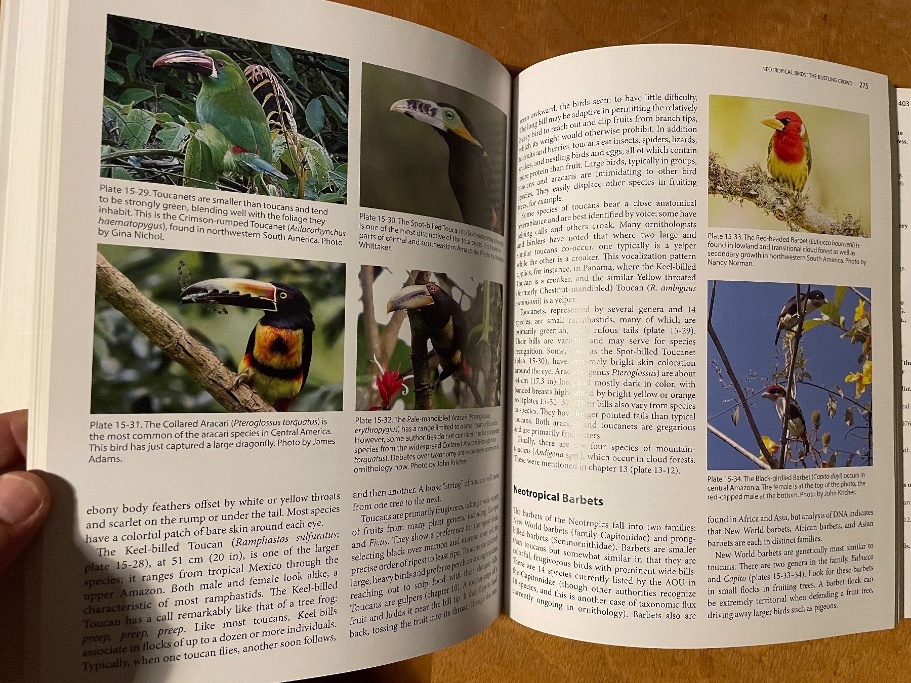 Libri: John Kricher. The Neotropical Companion – Usato da Zürich venduto da WWehrle 3