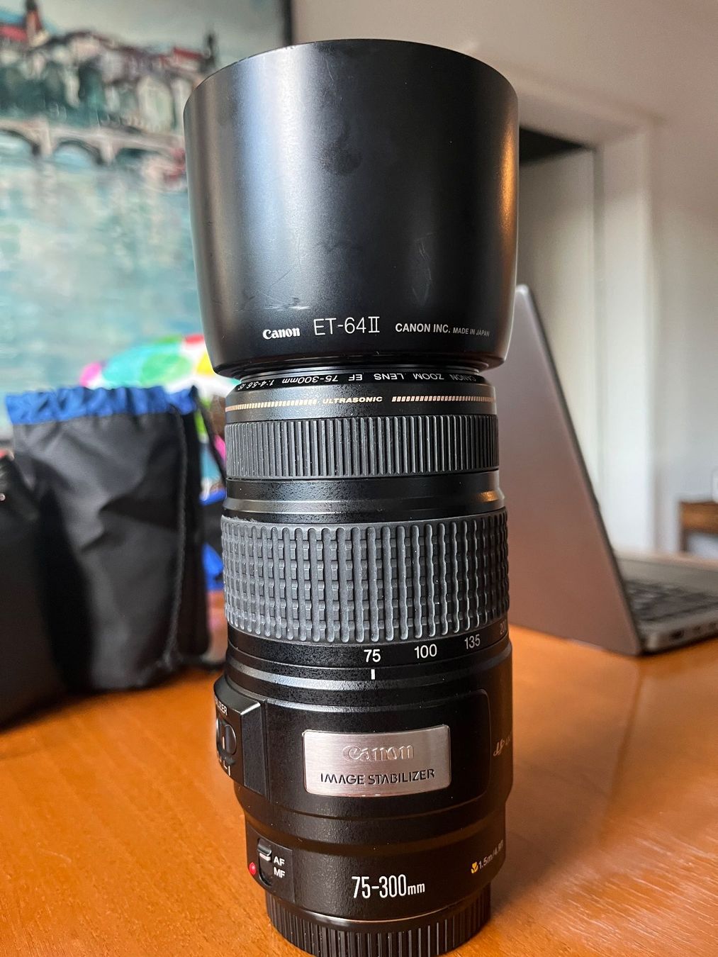 Canon Objektive: Canon EF 75-300 mm 1:4.0-5.6 – Gebraucht aus Zürich von Her_majesty