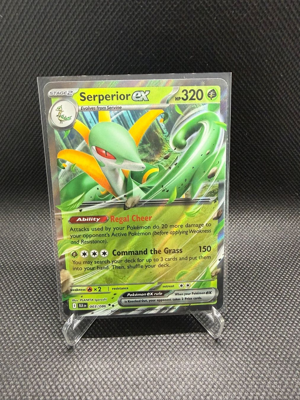 Pokémon Carte collezionabili: Pokemon Black Bolt Serperior ex 003/086 – Usato da Horn venduto da Chilldone