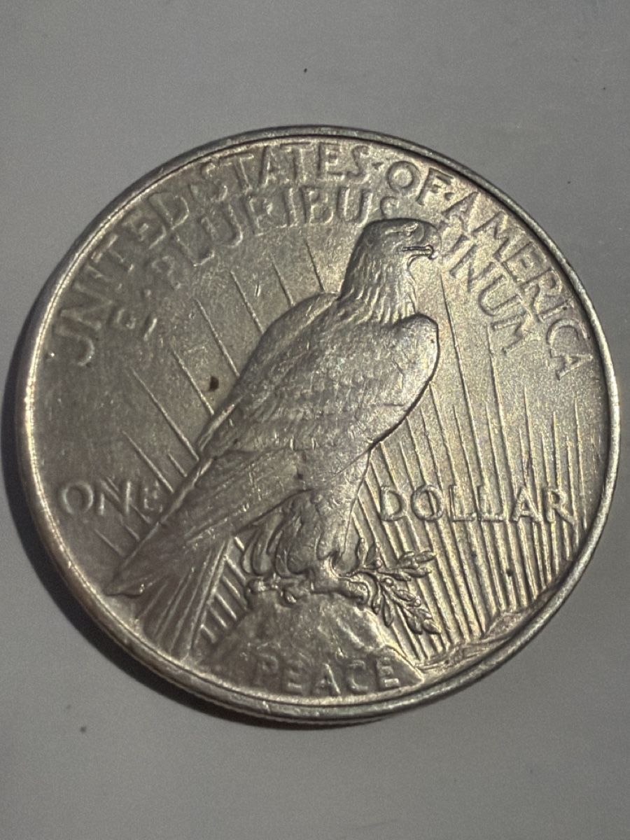 Tutti le monete: One Dollar Liberty – Usato da Hittnau venduto da Pat_yl7f