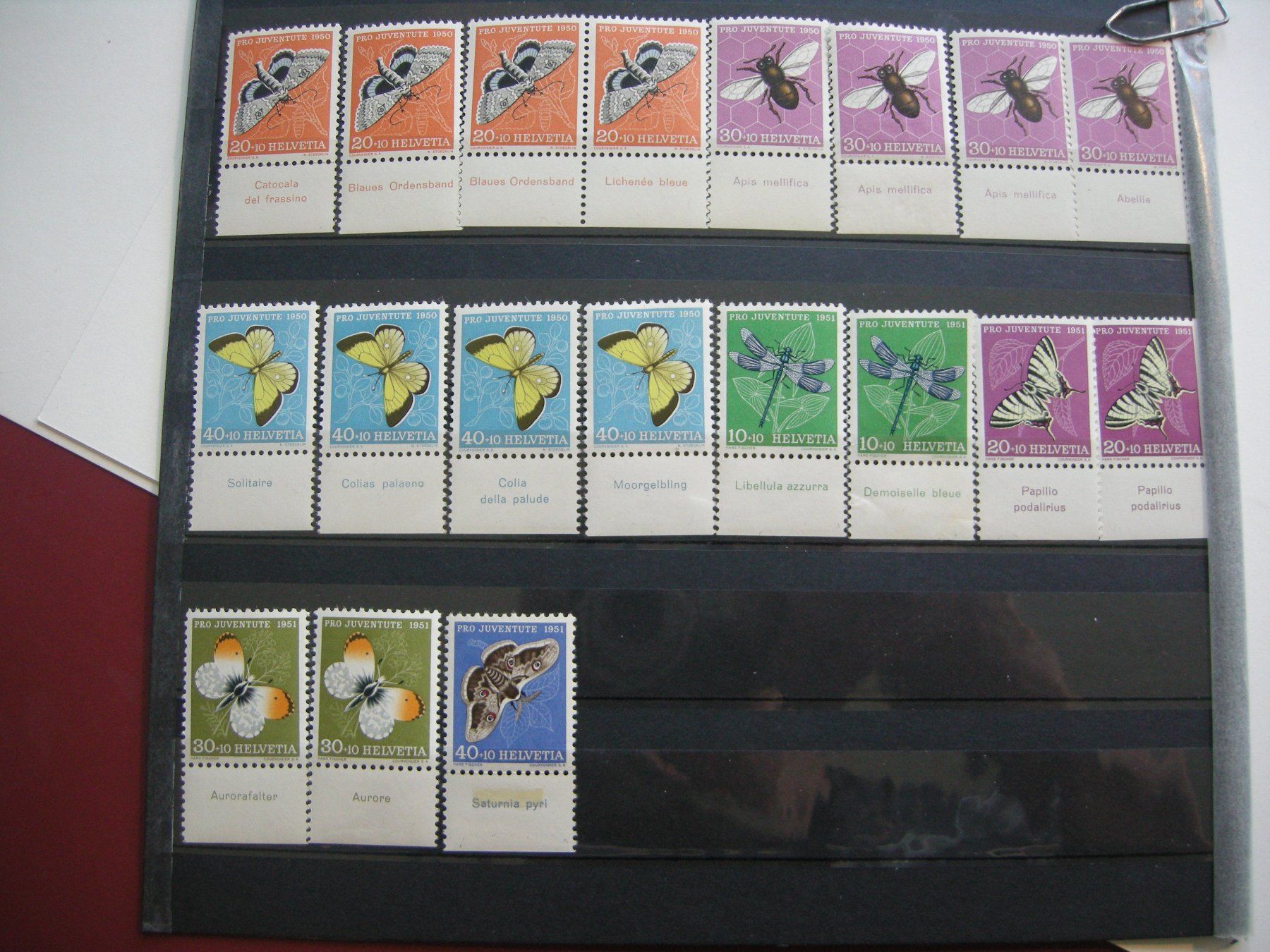 Tutti i francobolli: 1950/1951, PRO JUVENTUITE TABS, RESTLOT POSTFRISCH/** – Usato da Rüti ZH venduto da jupi1945 3