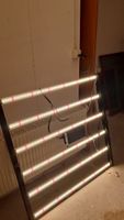 Led Lampen