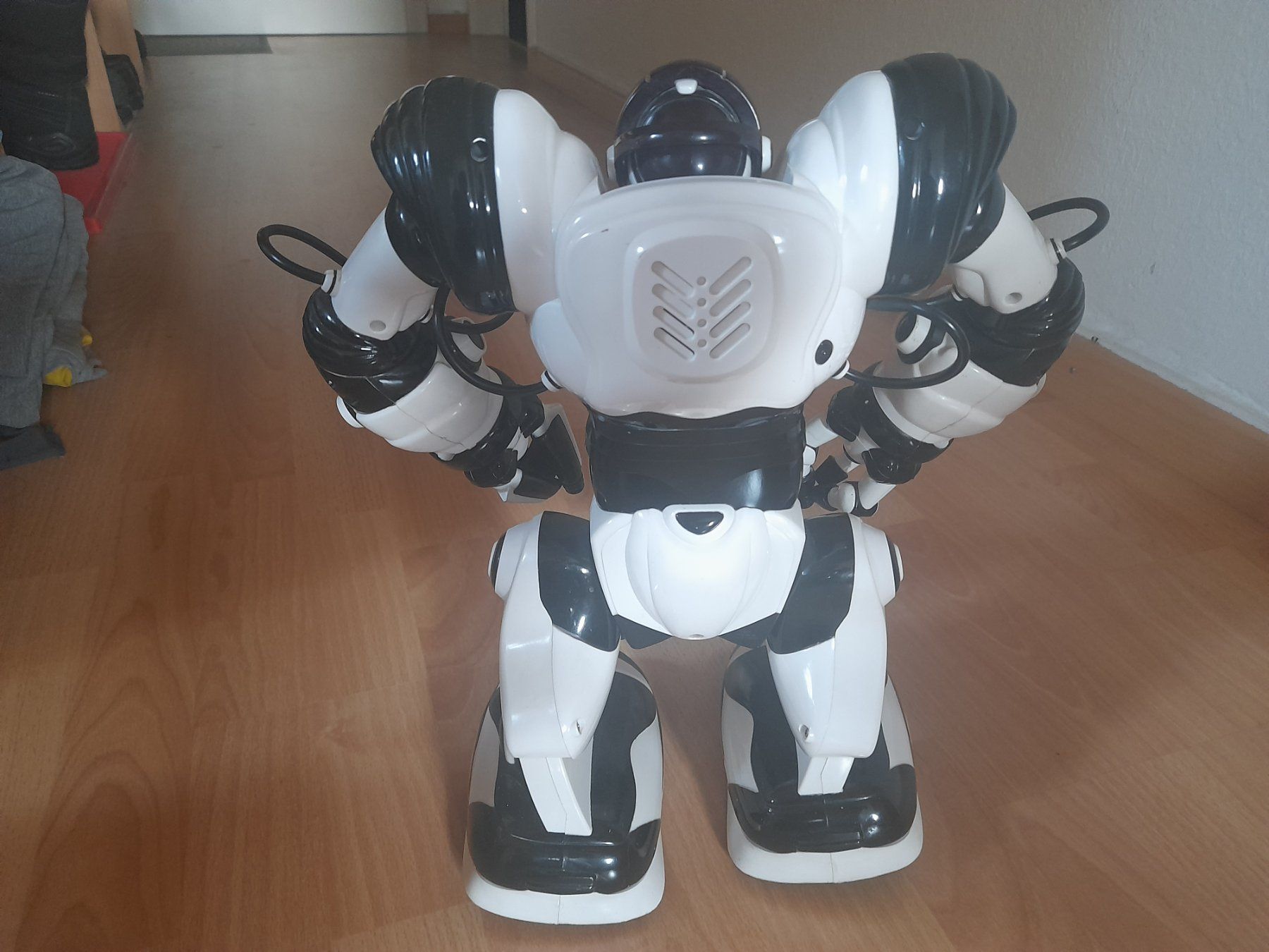 Spielzeuge: Roboter Robosapiens – Gebraucht aus Lustmühle von chevi03 1
