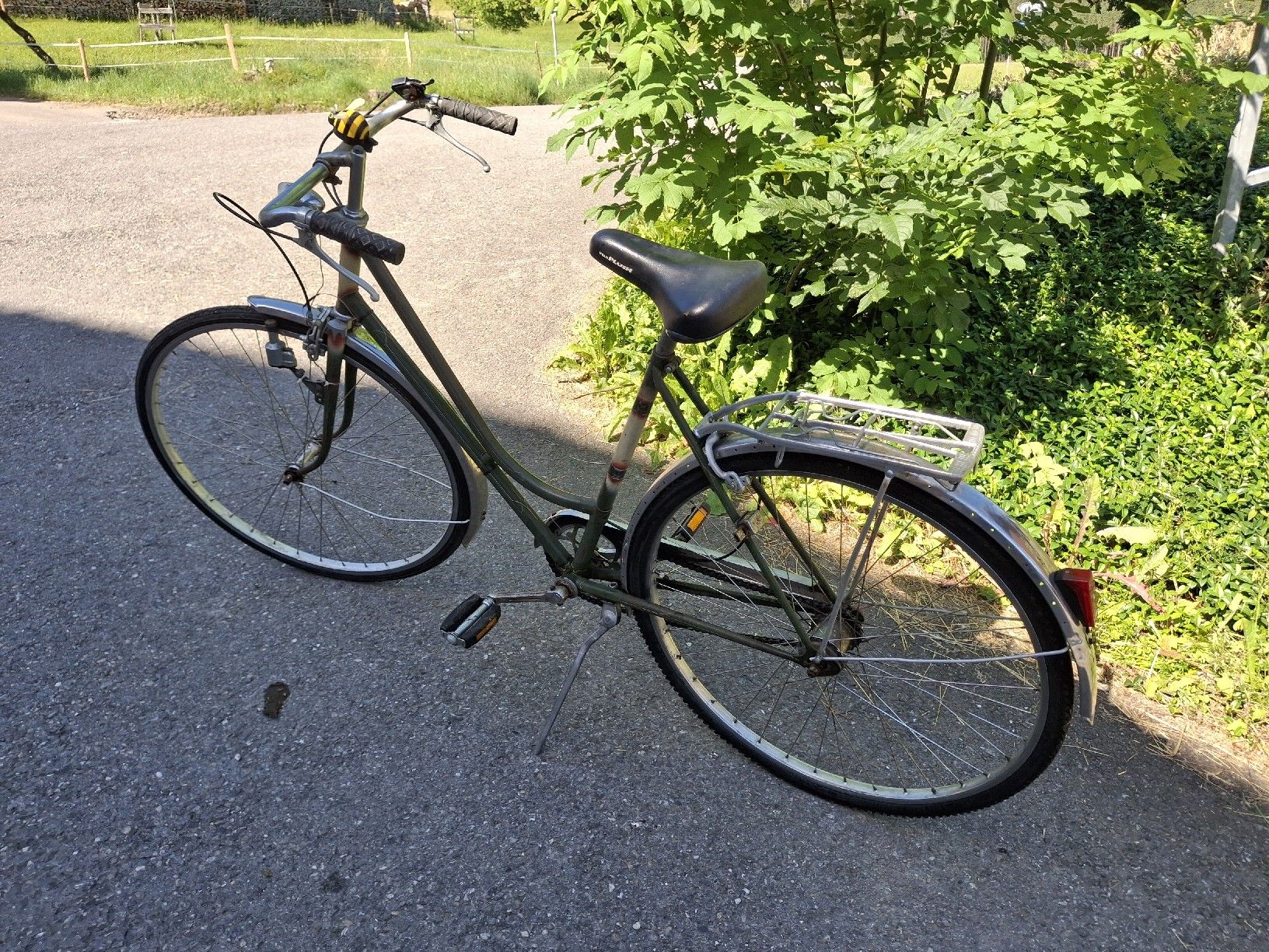 Biciclette: EIGER Damenvelo Retro Vintage – Usato da Reutigen venduto da IG-88 1