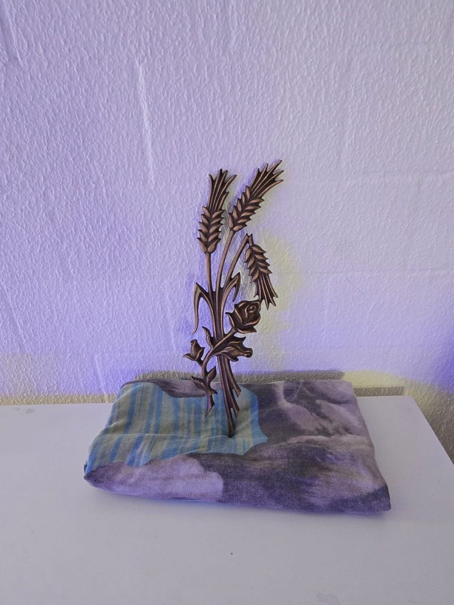 Tutte le decorazioni: Deko – Usato da Niederweningen venduto da Saphime2213