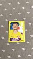 Panini FIFA World Cup 2026 Sticker CZE 2
