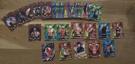 ‼️WWE Sammlung‼️