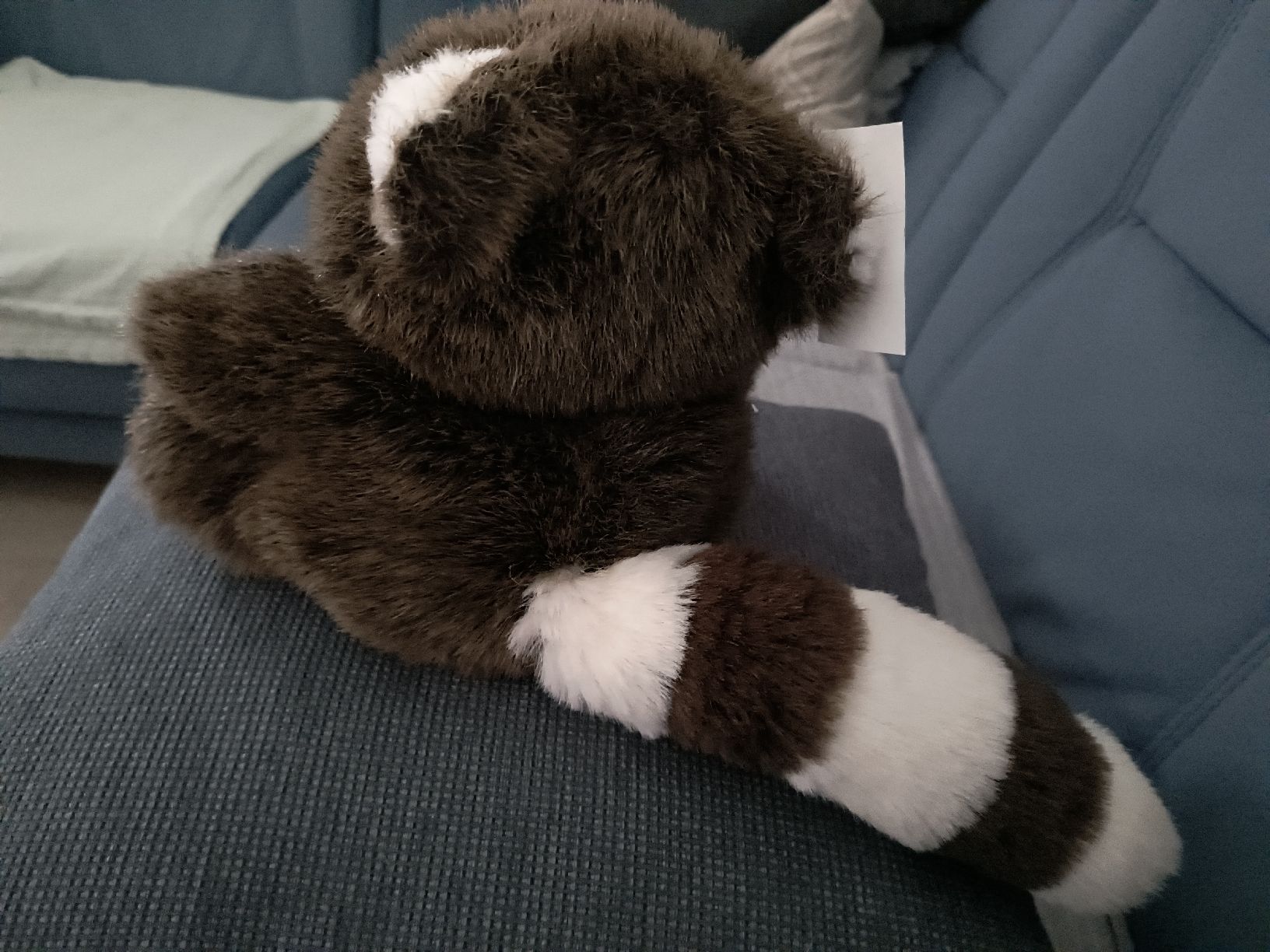 Bambole: Handpuppe Waschbär braun – Usato da Oberweningen venduto da Bumblebee2 1