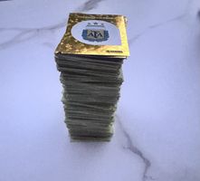 543 Panini, WM 2026 Sticker