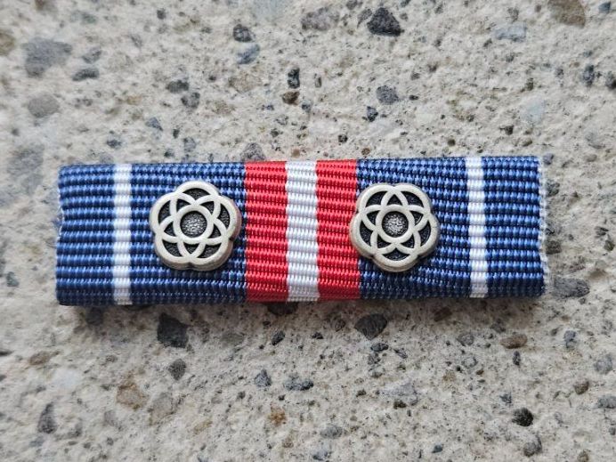 Schweizer Armee Placchette & Badge: *** Diensttage Ribbon 2 x Silber Rosette *** – Nuovo e nell'imballaggio originale da Riedholz venduto da fr_sIruP