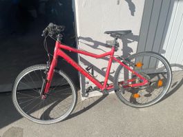 Kinderfahrrad Academy