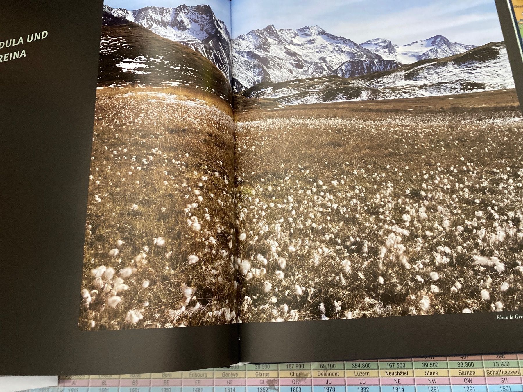 Libri: Urlandschaften der Schweiz, AT Verlag – Usato da Erlinsbach SO venduto da Silverstorm 2