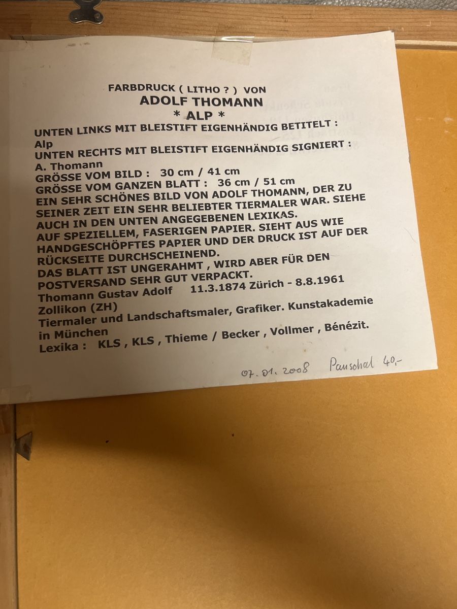 Grafica & Litografie: A.Thomann Lithographie Bauernleben gerahmt – Usato da Rorschach venduto da TimelessTrading 4