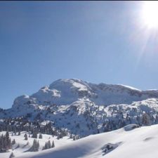 Profile image of Berge62